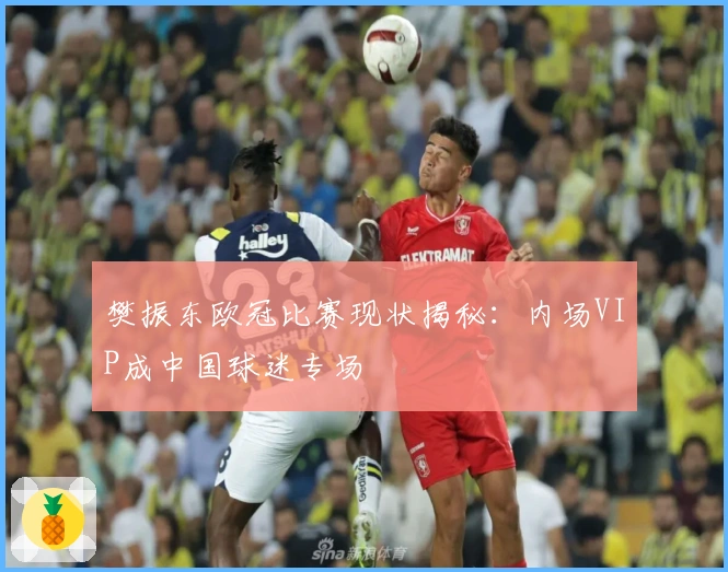 樊振东欧冠比赛现状揭秘：内场VIP成中国球迷专场