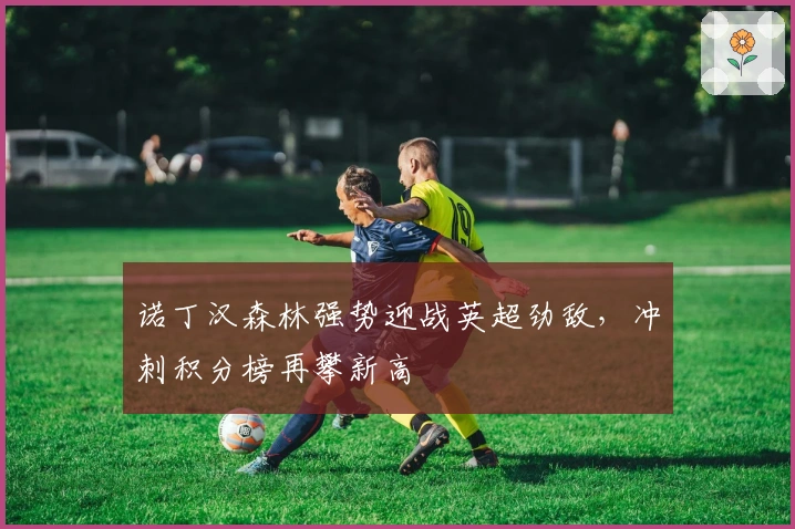 诺丁汉森林强势迎战英超劲敌，冲刺积分榜再攀新高