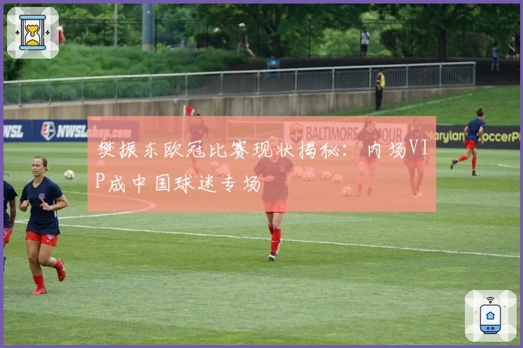 樊振东欧冠比赛现状揭秘：内场VIP成中国球迷专场