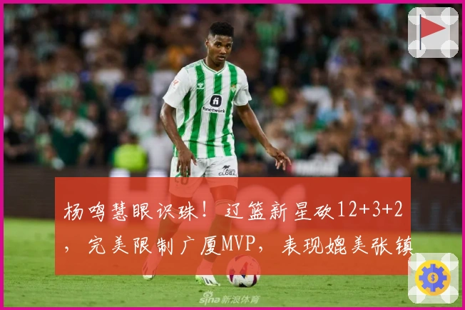 杨鸣慧眼识珠！辽篮新星砍12+3+2，完美限制广厦MVP，表现媲美张镇麟