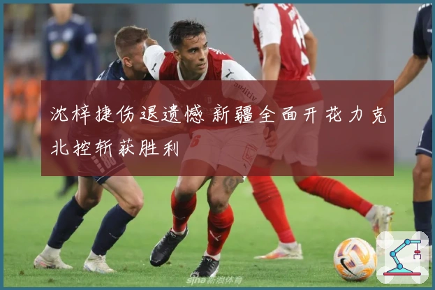 沈梓捷伤退遗憾 新疆全面开花力克北控斩获胜利