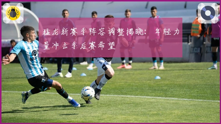 猛龙新赛季阵容调整揭晓：年轻力量冲击季后赛希望